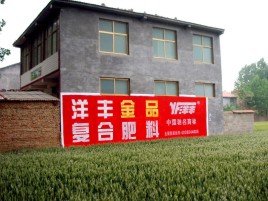 黎川县如何让墙体广告展现最大化效果