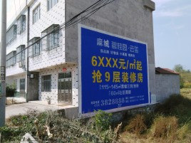 黎川县墙体广告质量分析